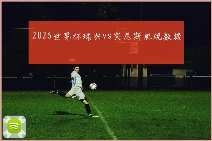 2026世界杯瑞典vs突尼斯犯规数据