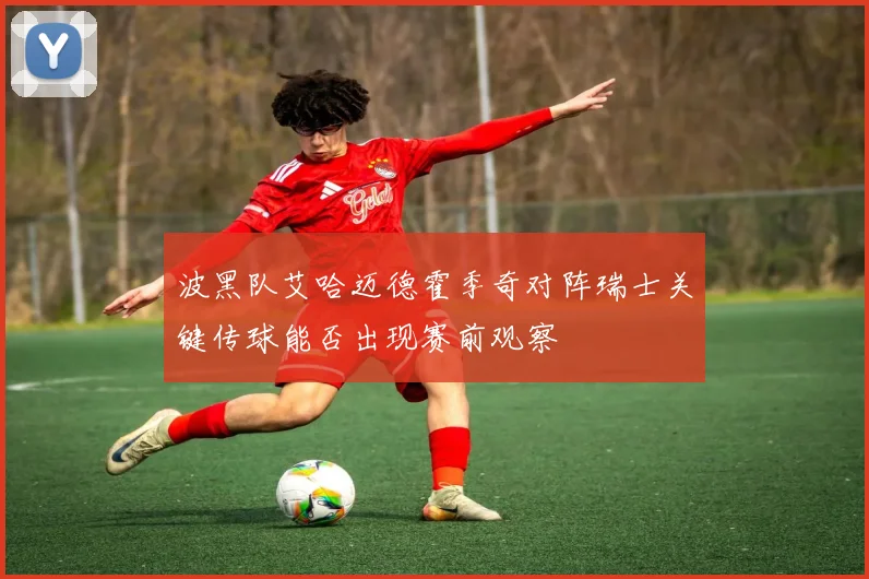波黑队艾哈迈德霍季奇对阵瑞士关键传球能否出现赛前观察