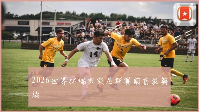 2026世界杯瑞典突尼斯赛前首发解读