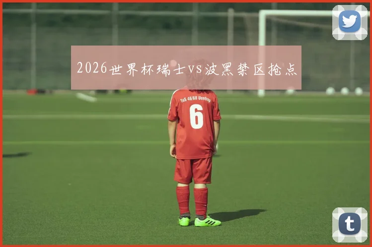 2026世界杯瑞士vs波黑禁区抢点